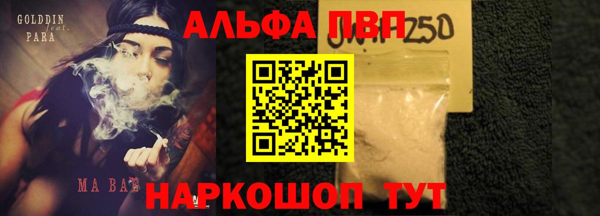 Alfa_PVP СК Асино