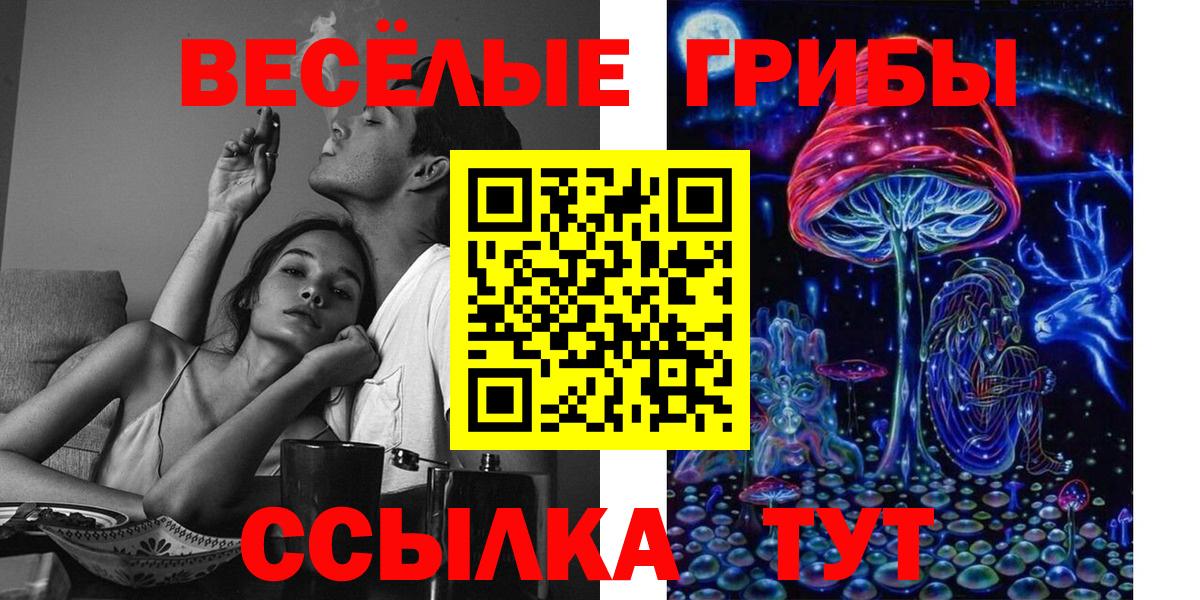 Галлюциногенные грибы GOLDEN TEACHER Асино