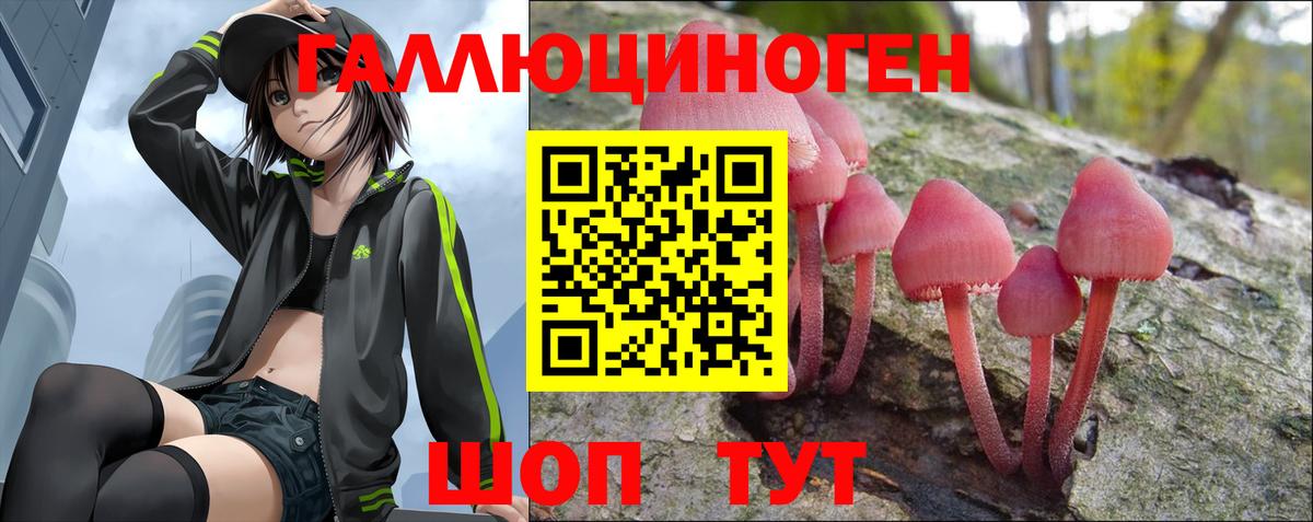 Галлюциногенные грибы Magic Shrooms  Псилоцибиновые грибы прущие грибы  Вход с VPN  Асино 